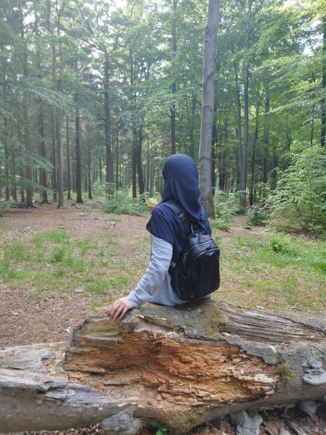“Licht en geloof: Het verhaal achter Nour el Imane”